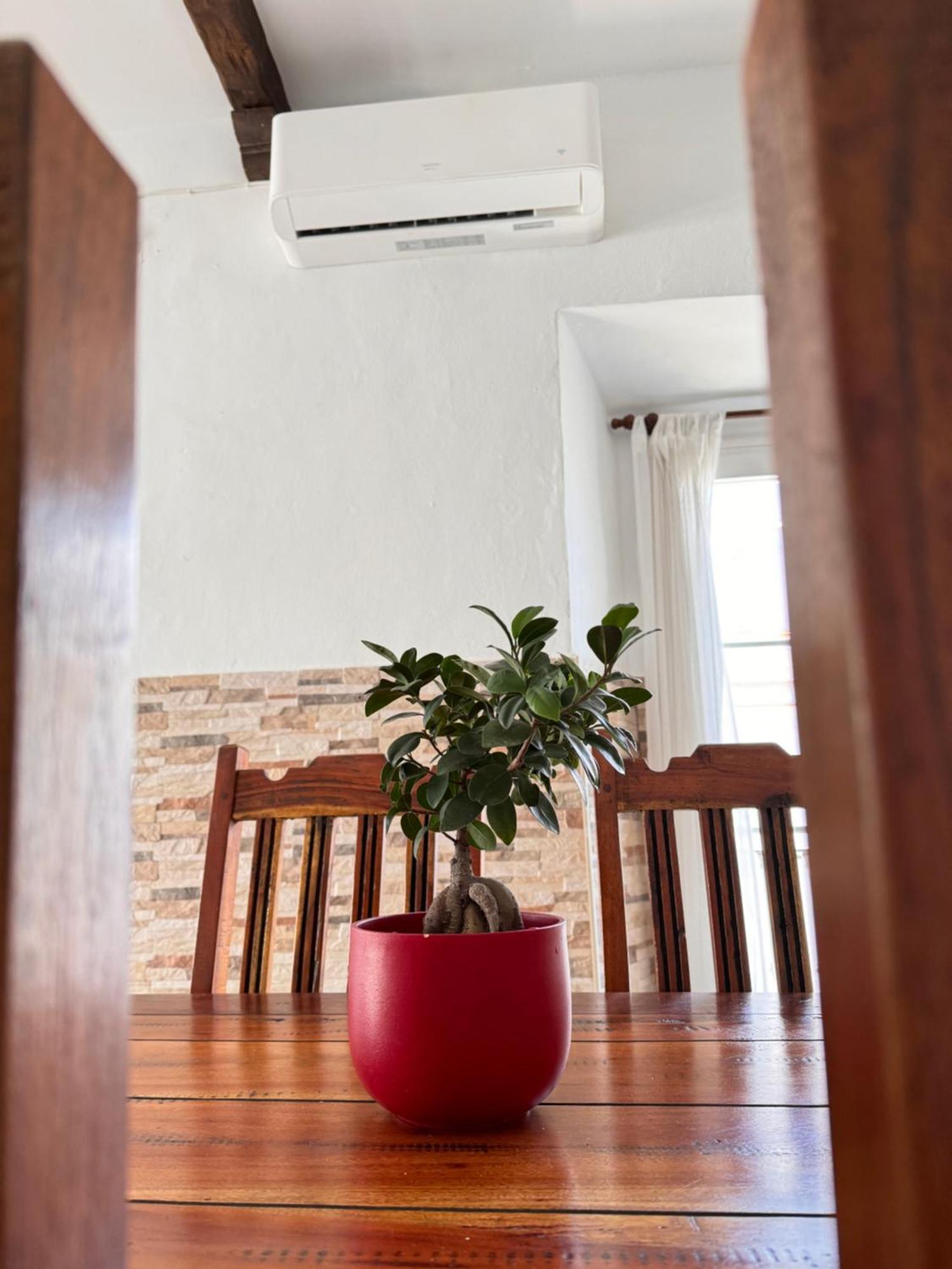 Apartment Cabildo 2